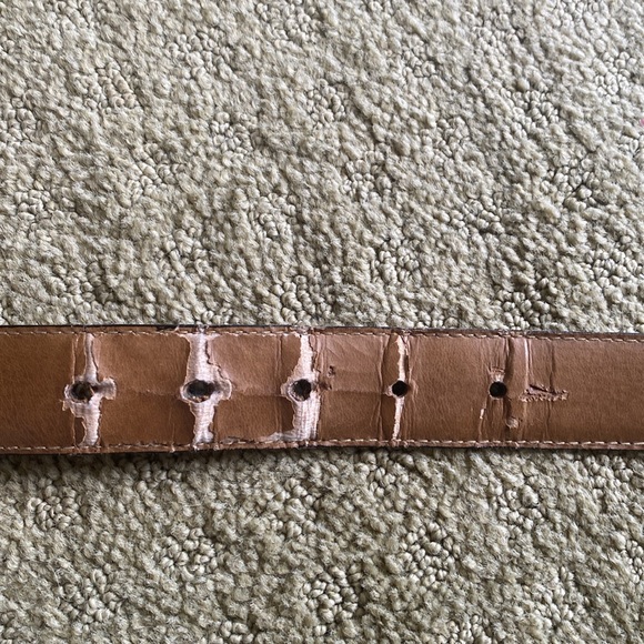 Lizard Belt, sliver buckle. - Picture 5 of 7